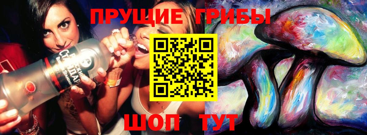 Галлюциногенные грибы Psilocybine cubensis Кулебаки